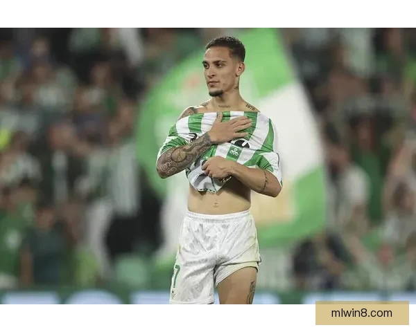 冬窗将闭西汉姆寻中卫询价贝蒂斯纳坦谈判仍暂无进展